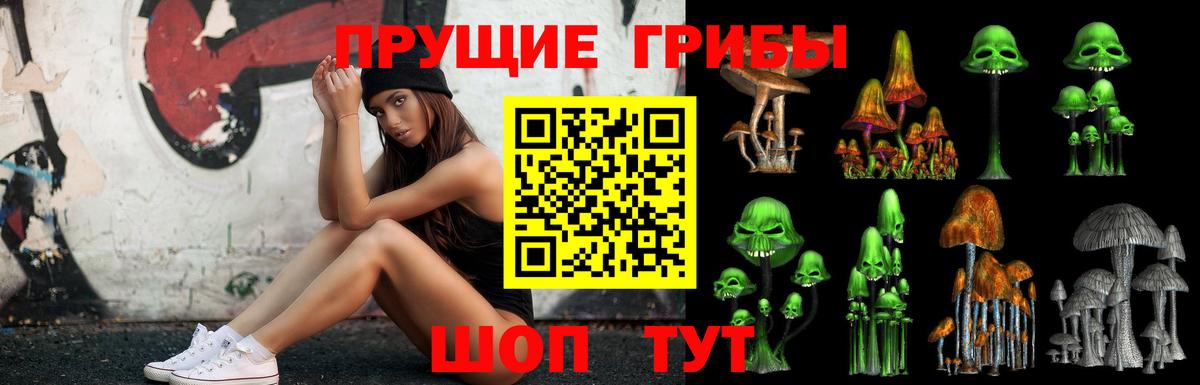 Красноармейск  Псилоцибиновые грибы прущие грибы  Вход с VPN  Галлюциногенные грибы мицелий 